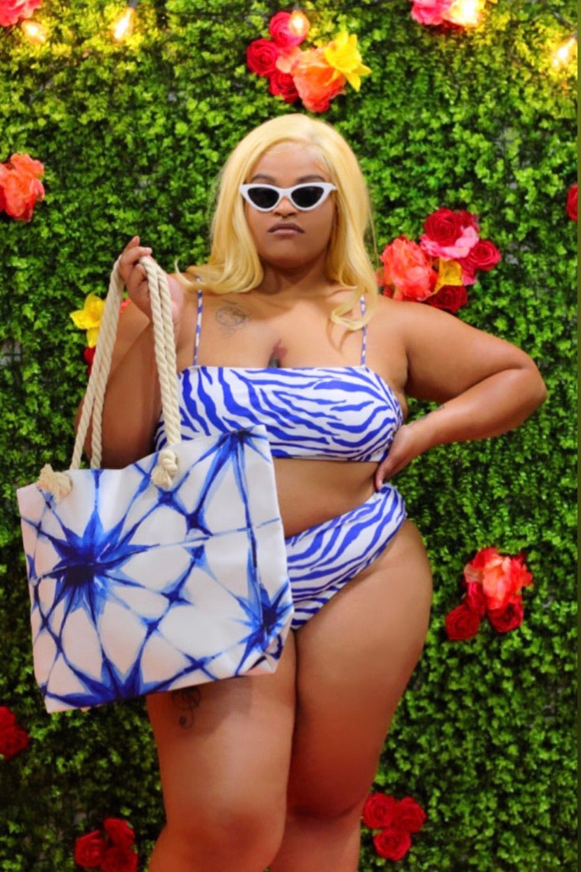 Blue Zebra Swimsuit