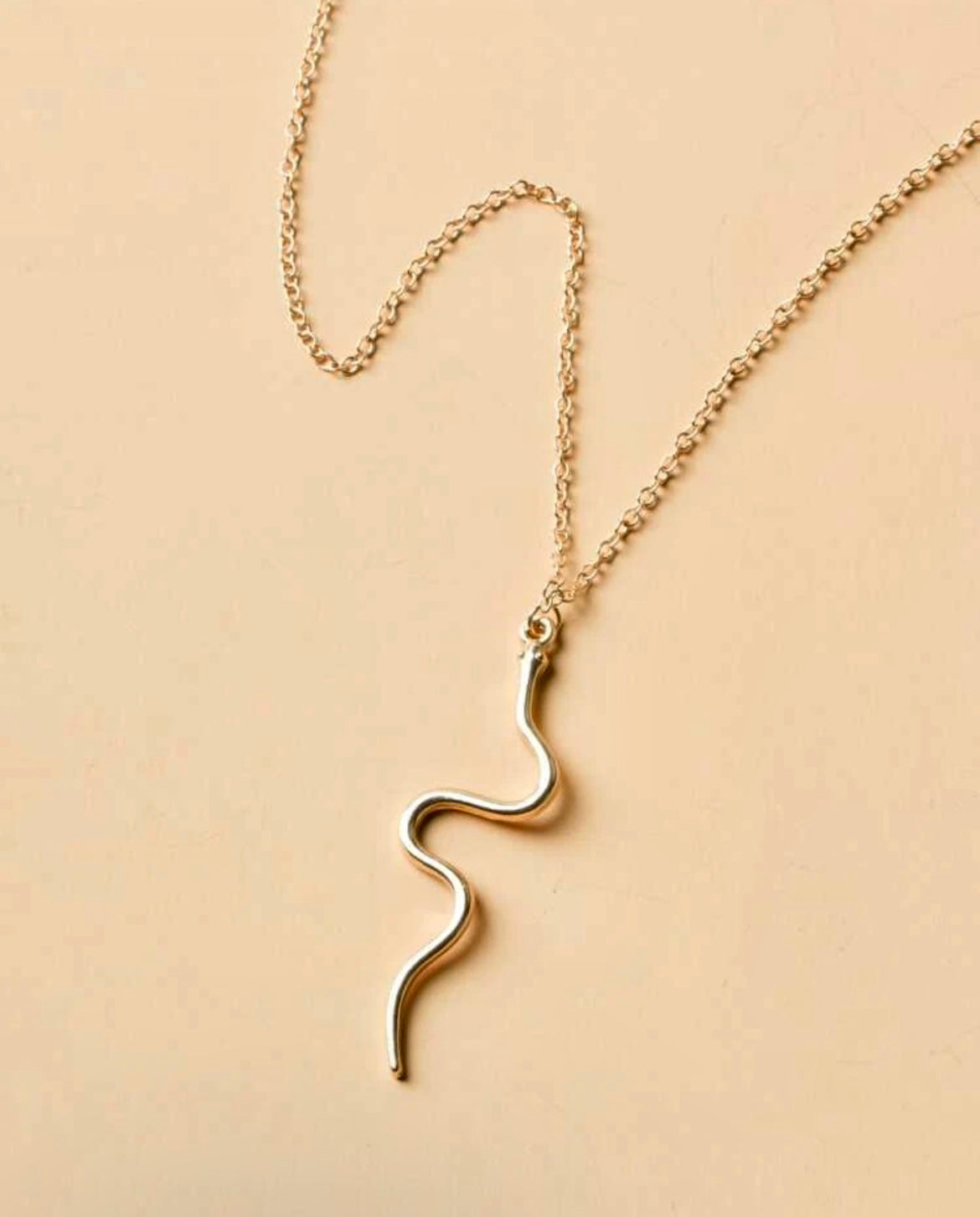 Snakey Necklace