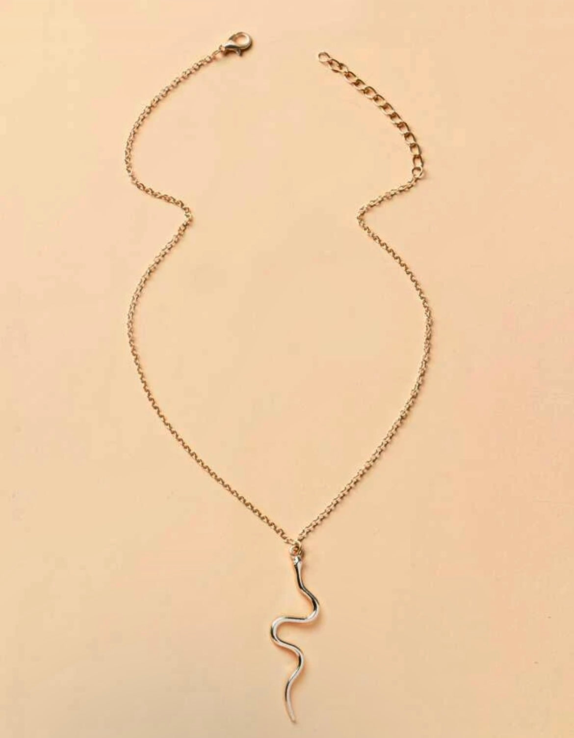Snakey Necklace