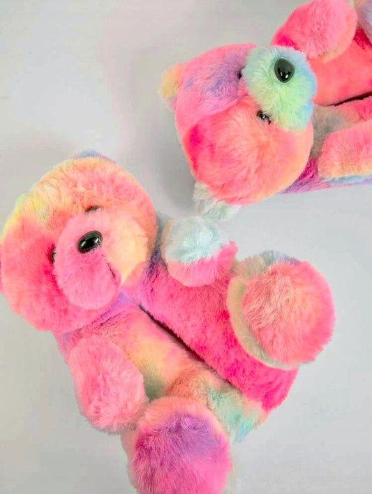 Rainbow Bear Slippers